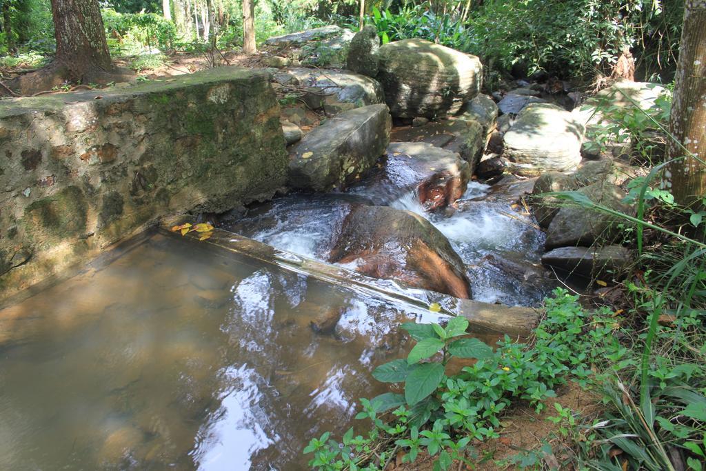 Bed and Breakfast Jungle Tide à Kandy Extérieur photo