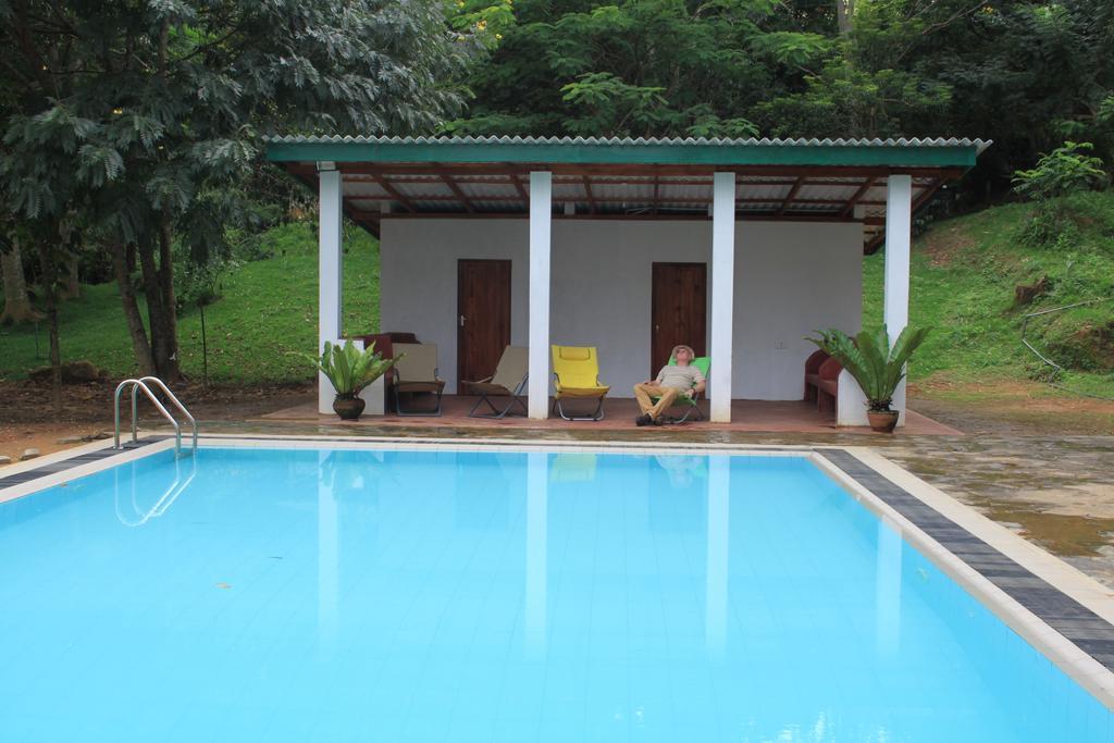 Bed and Breakfast Jungle Tide à Kandy Extérieur photo