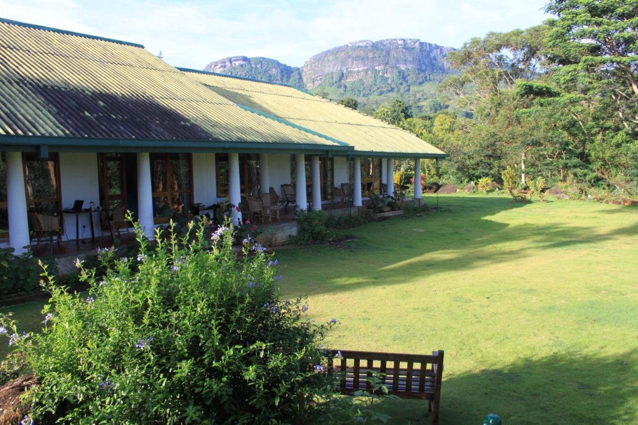 Bed and Breakfast Jungle Tide à Kandy Extérieur photo